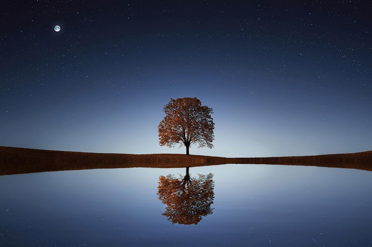 tree, lake, stars-838667.jpg